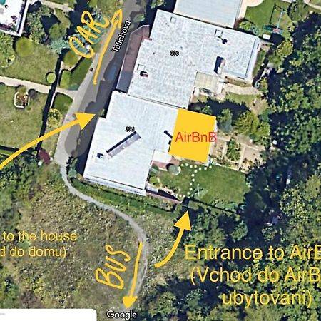 Krasny Apartman U Lesa, Trolejbus Do Centra A Bvv, Parkovani Zdarma Brno Eksteriør billede