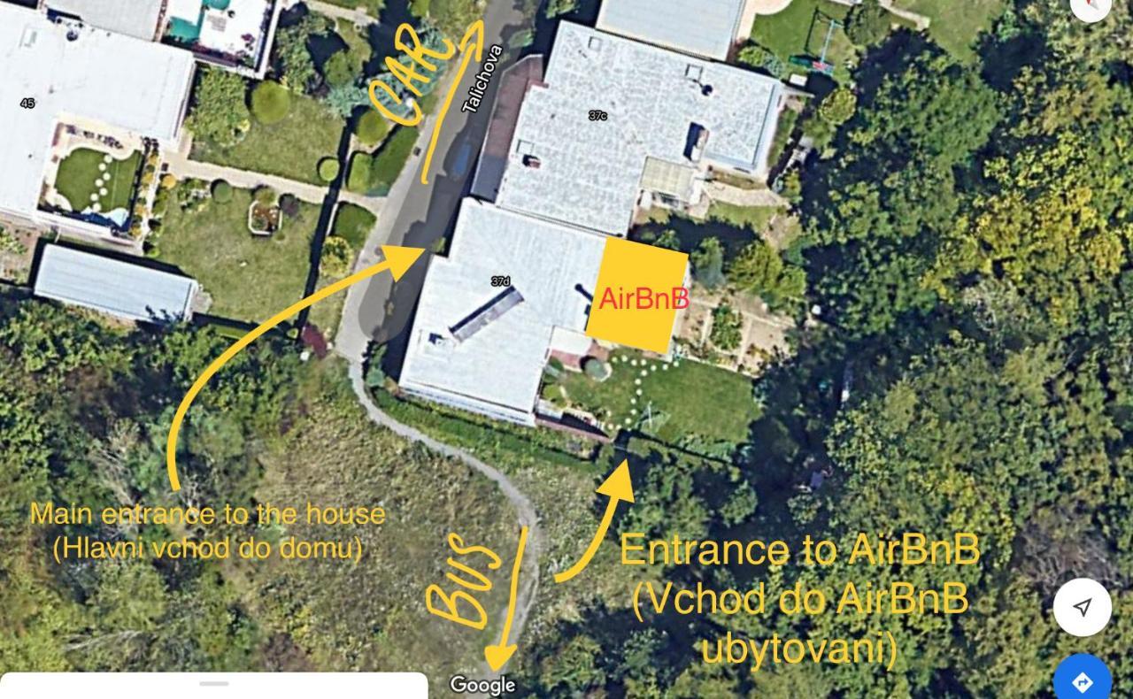 Krasny Apartman U Lesa, Trolejbus Do Centra A Bvv, Parkovani Zdarma Brno Eksteriør billede