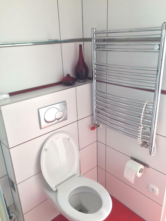 Krasny Apartman U Lesa, Trolejbus Do Centra A Bvv, Parkovani Zdarma Brno Eksteriør billede