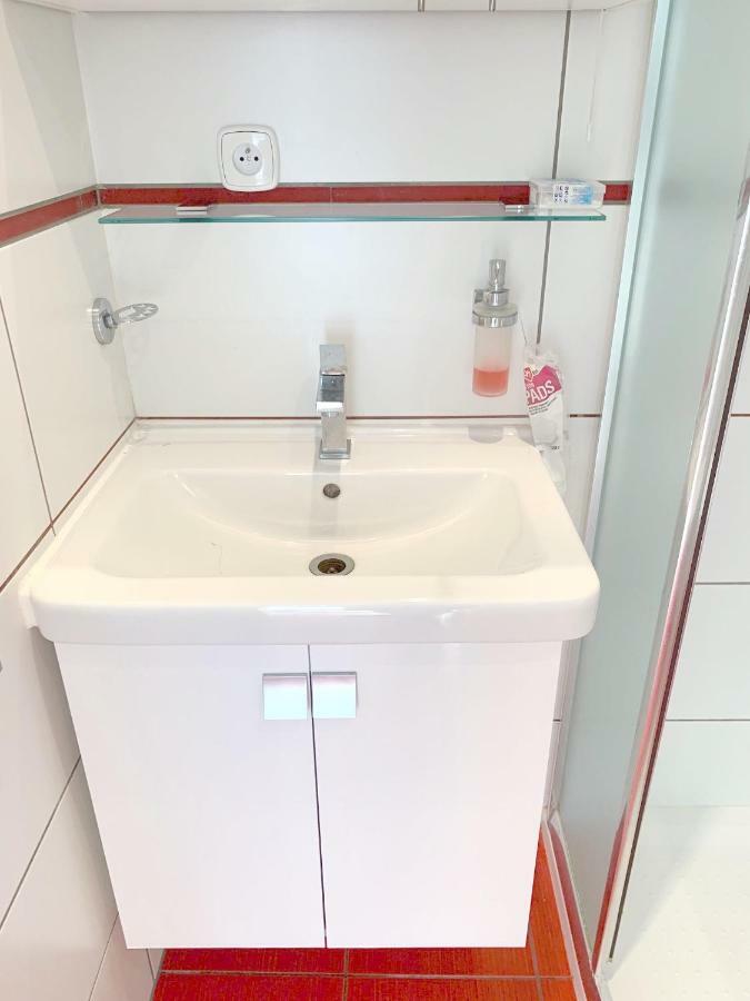 Krasny Apartman U Lesa, Trolejbus Do Centra A Bvv, Parkovani Zdarma Brno Eksteriør billede