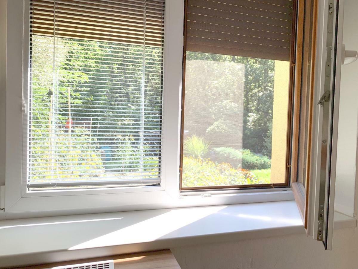 Krasny Apartman U Lesa, Trolejbus Do Centra A Bvv, Parkovani Zdarma Brno Eksteriør billede